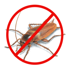 COCKROACH CONTROL TREATMENT